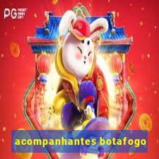 acompanhantes botafogo